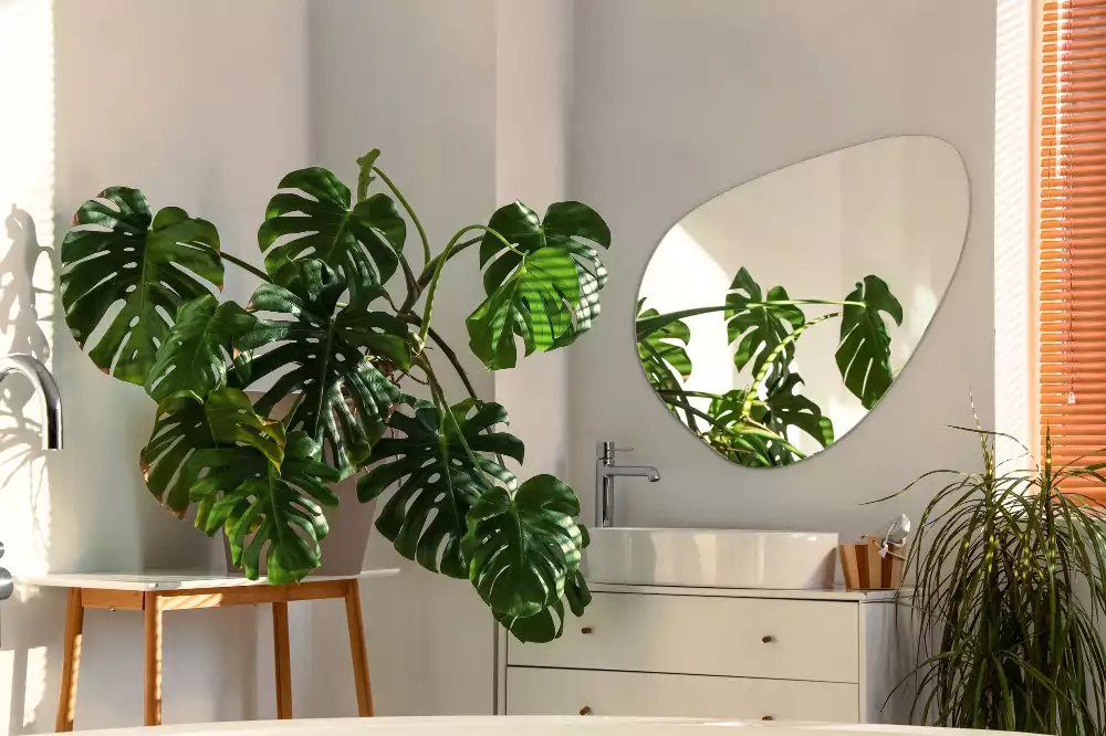 Spiegel organische form dekorative wand